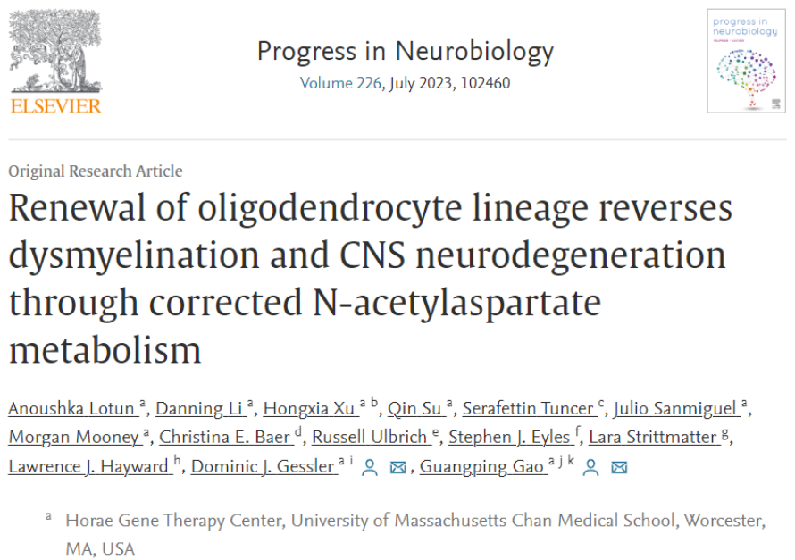 RNAScope技术借助TG平台，研究神经组织完整单细胞形态及分化影响
