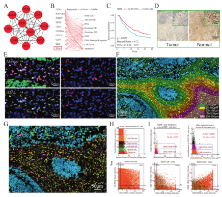 掌握这个思路，轻松get 10+分期刊！